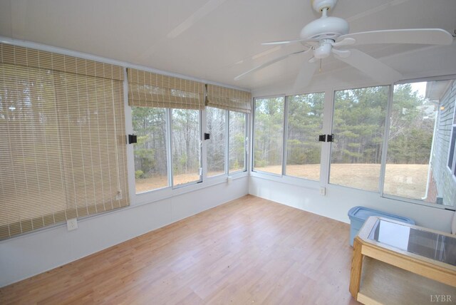 2453 Easome Rd, Hurt, VA 24563 - photo 64