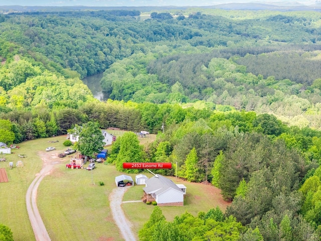2453 Easome Rd, Hurt, VA 24563 - photo 6