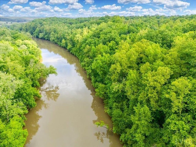 2453 Easome Rd, Hurt, VA 24563 - bird's eye view of a forest and a nearby body of water