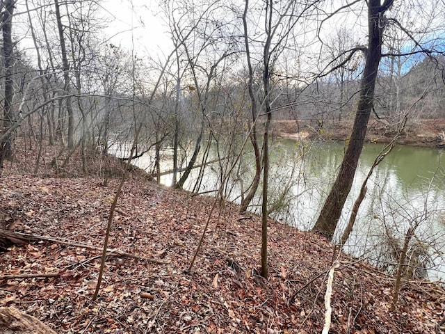 2453 Easome Rd, Hurt, VA 24563 - water view