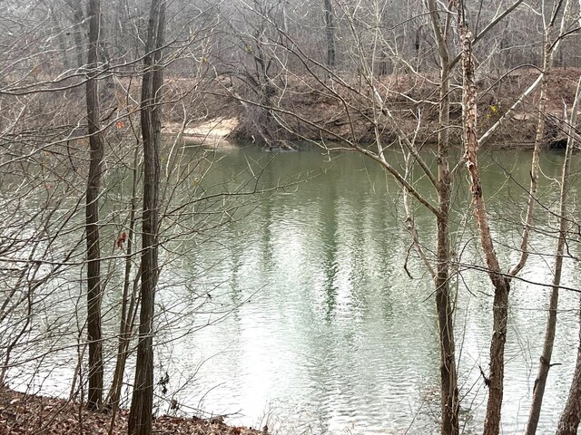 2453 Easome Rd, Hurt, VA 24563 - water view