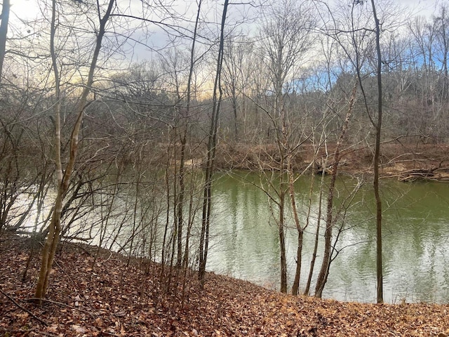 2453 Easome Rd, Hurt, VA 24563 - photo 22