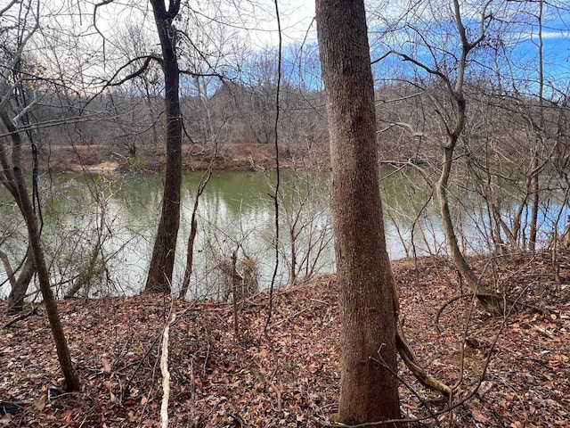 2453 Easome Rd, Hurt, VA 24563 - water view