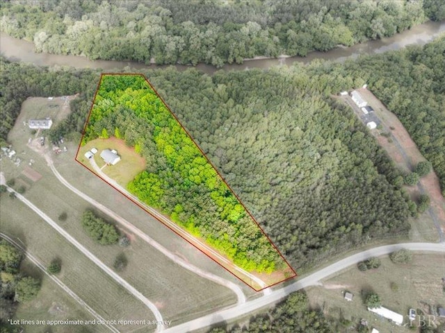 2453 Easome Rd, Hurt, VA 24563 - view of property location featuring a heavily wooded area and property parcel outlined