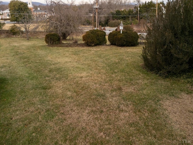 113 Oakwood Pl, Lynchburg, VA 24503 - view of green lawn