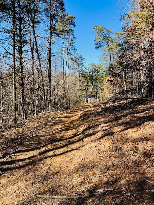 0 Main St, Hurt, VA 24563
