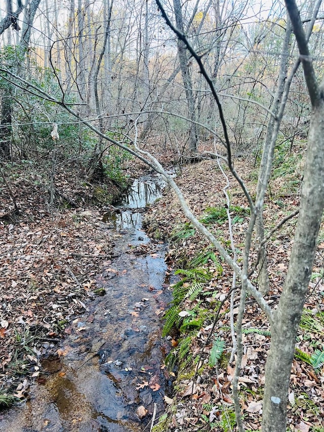 0 Main St, Hurt, VA 24563