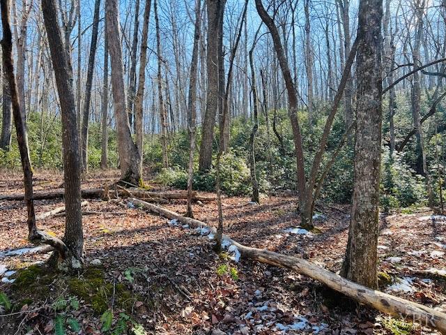 0 Main St, Hurt, VA 24563