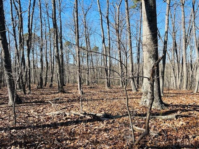0 Main St, Hurt, VA 24563