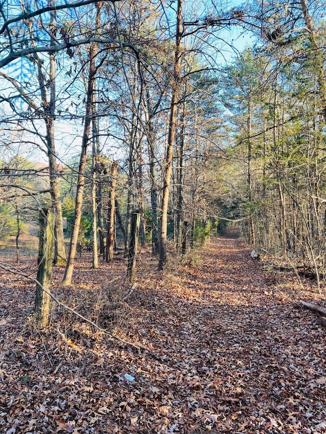 0 Main St, Hurt, VA 24563