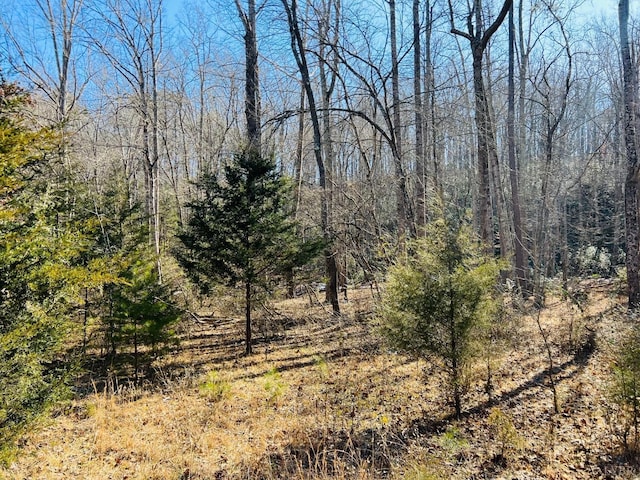 0 Main St, Hurt, VA 24563