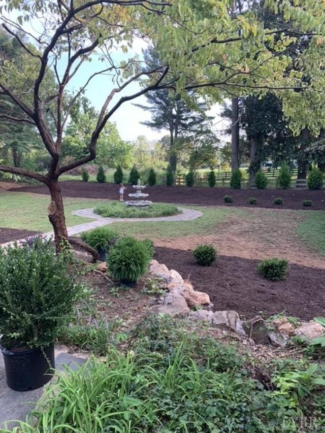 1670 Church St, Appomattox, VA 24522 - view of yard