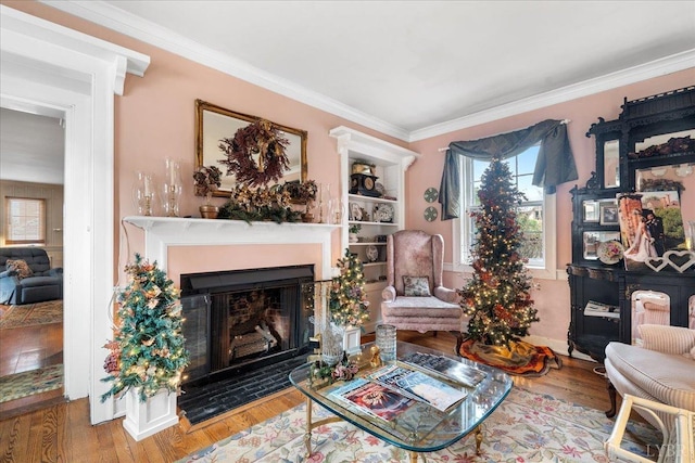 1670 Church St, Appomattox, VA 24522 - living area with ornamental molding, hardwood / wood-style floors, and built in features