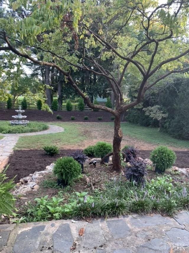 1670 Church St, Appomattox, VA 24522 - view of yard
