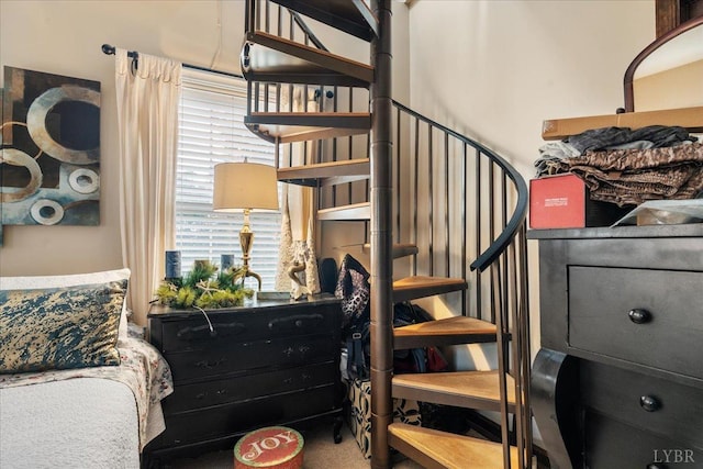 1670 Church St, Appomattox, VA 24522 - stairway with carpet floors