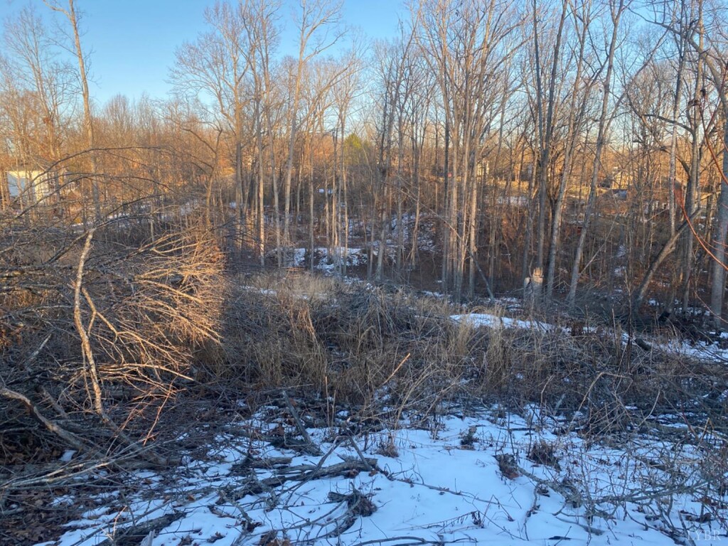 0 Mcknights Way, Forest, VA 24551