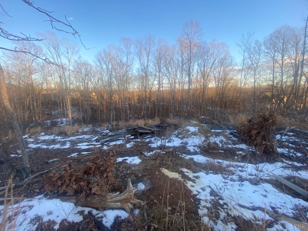 0 Mcknights Way, Forest, VA 24551