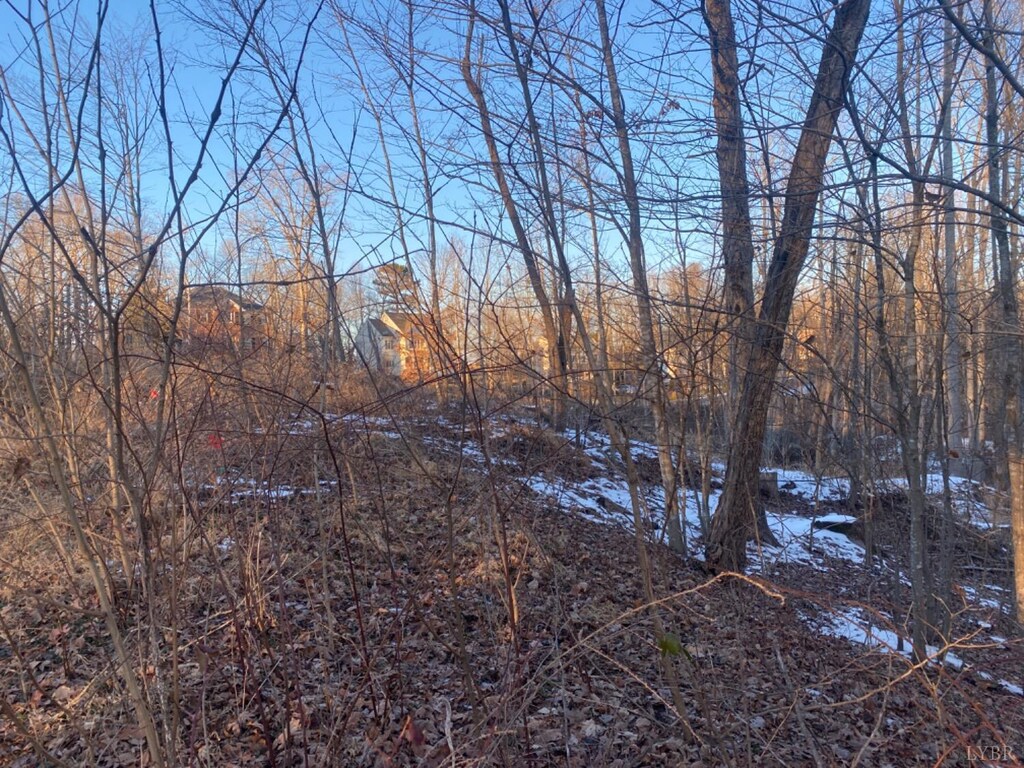 0 Mcknights Way, Forest, VA 24551