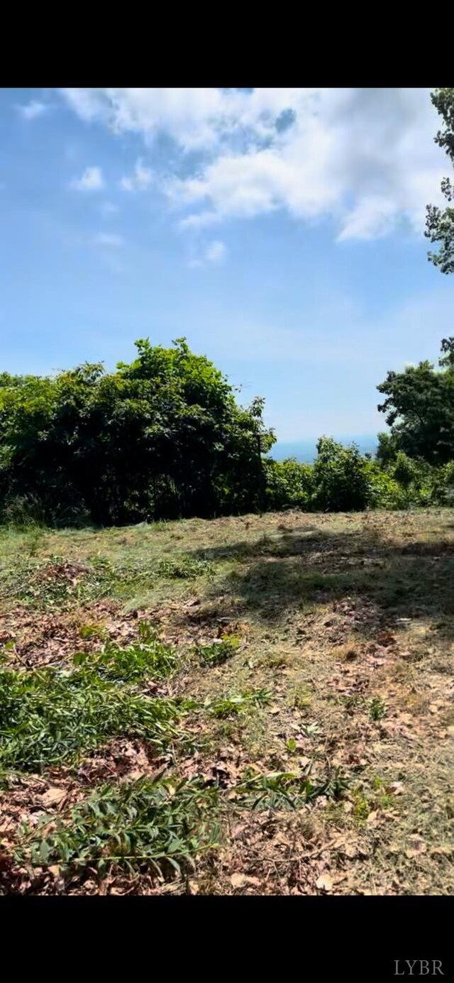 4061 Taylor Mountain Rd, Thaxton, VA 24174 - photo 10