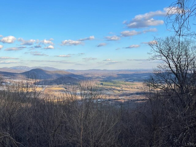 4061 Taylor Mountain Rd, Thaxton, VA 24174 - photo 24
