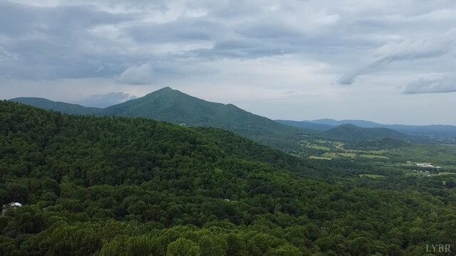 4061 Taylor Mountain Rd, Thaxton, VA 24174 - photo 4
