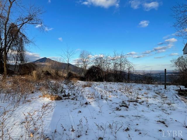 4061 Taylor Mountain Rd, Thaxton, VA 24174 - photo 3