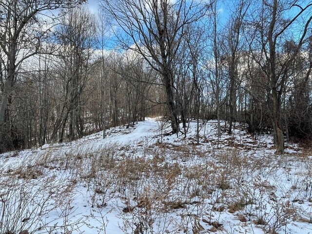 4061 Taylor Mountain Rd, Thaxton, VA 24174 - photo 23
