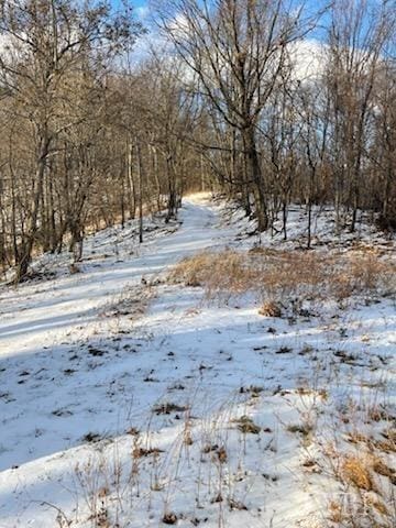 4061 Taylor Mountain Rd, Thaxton, VA 24174 - photo 2