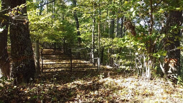 4061 Taylor Mountain Rd, Thaxton, VA 24174 - photo 6