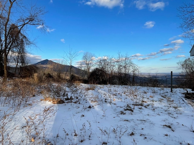 4061 Taylor Mountain Rd, Thaxton, VA 24174 - photo 22