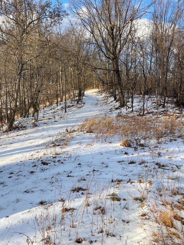 4061 Taylor Mountain Rd, Thaxton, VA 24174 - photo 21