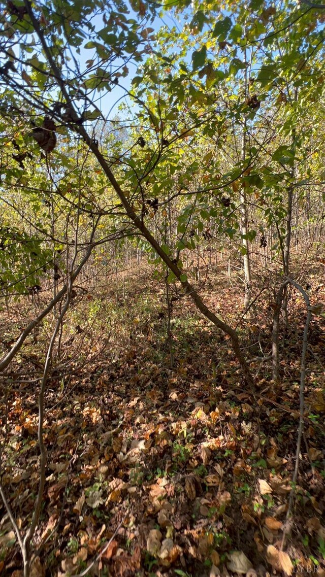 4061 Taylor Mountain Rd, Thaxton, VA 24174 - photo 15
