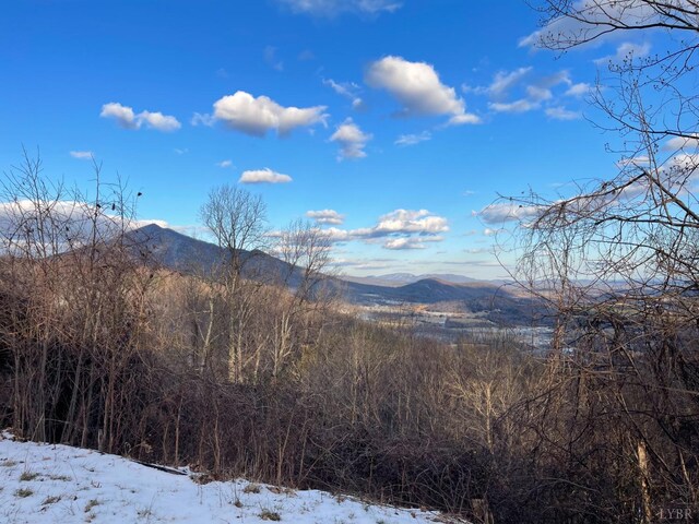 4061 Taylor Mountain Rd, Thaxton, VA 24174 - photo 18