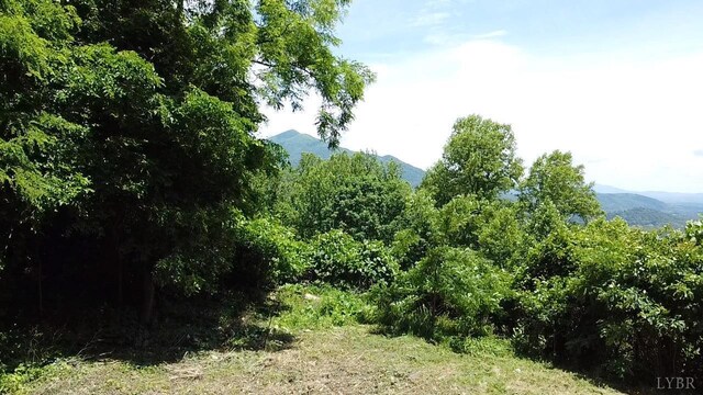 4061 Taylor Mountain Rd, Thaxton, VA 24174 - photo 5