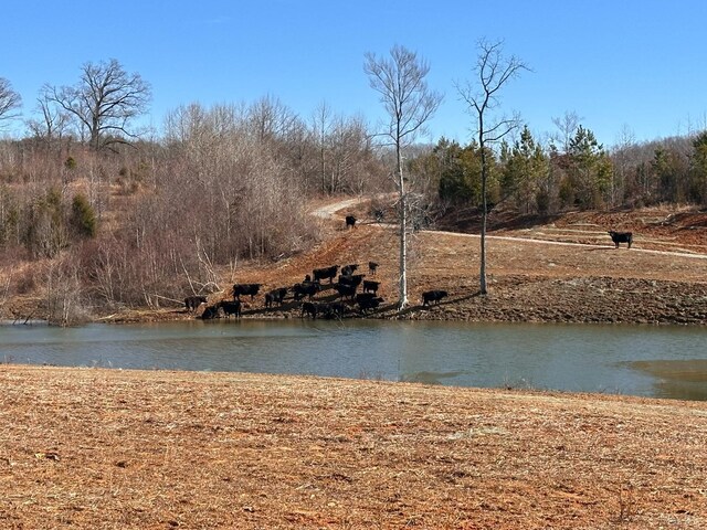 1081 Lennig Rd, Nathalie, VA 24577