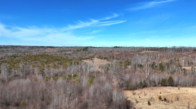 1081 Lennig Rd, Nathalie, VA 24577