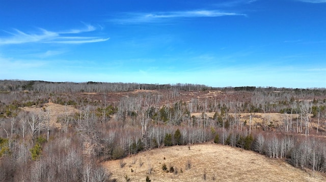 1081 Lennig Rd, Nathalie, VA 24577
