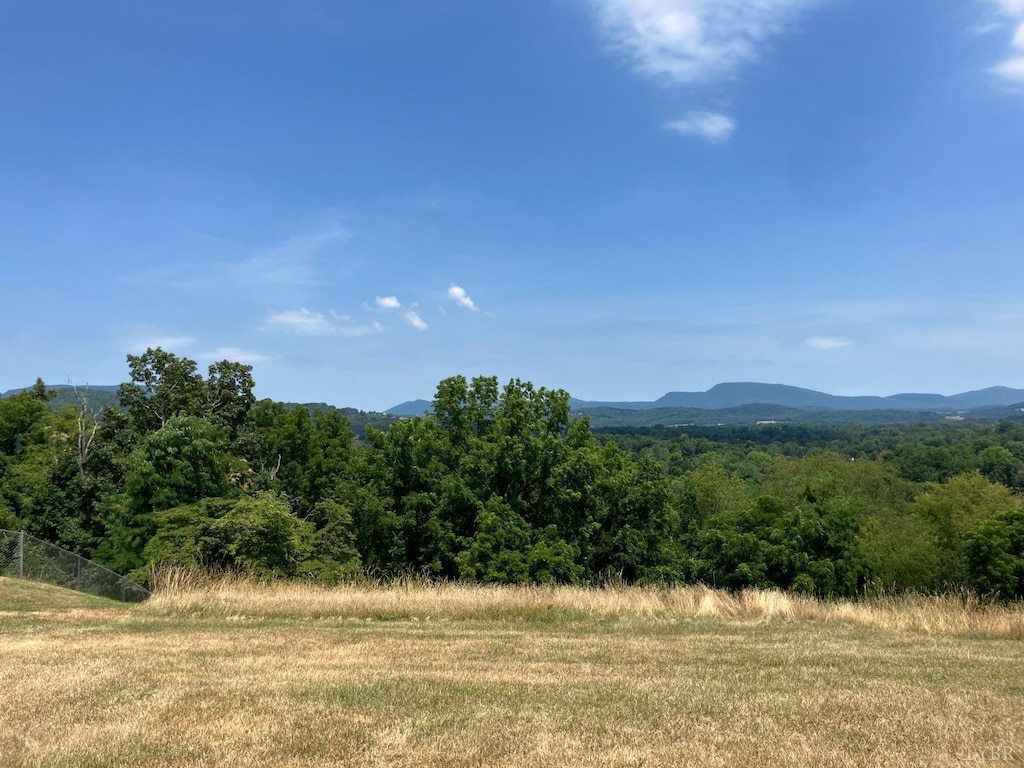 1000 Shenandoah Rd, Lexington, VA 24450 - photo 2