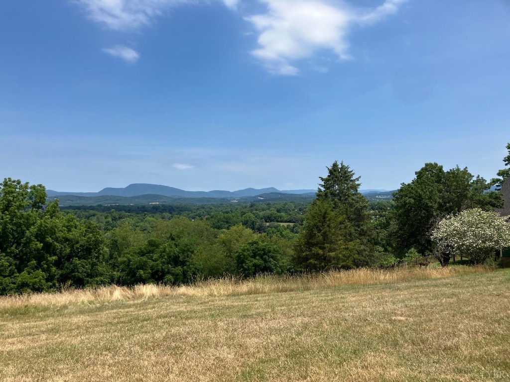 1000 Shenandoah Rd, Lexington, VA 24450 - photo 1