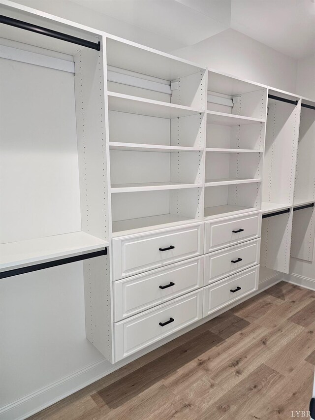 18 Grandset Dr, Forest, VA 24551 - walk in closet with light wood-type flooring