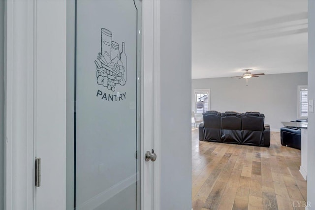 1270 Hupps Hill Ln, Forest, VA 24551 - corridor with light wood-type flooring and plenty of natural light