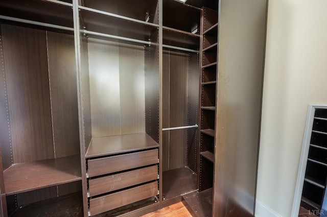 1060 Governors Ln, Forest, VA 24551 - view of spacious closet