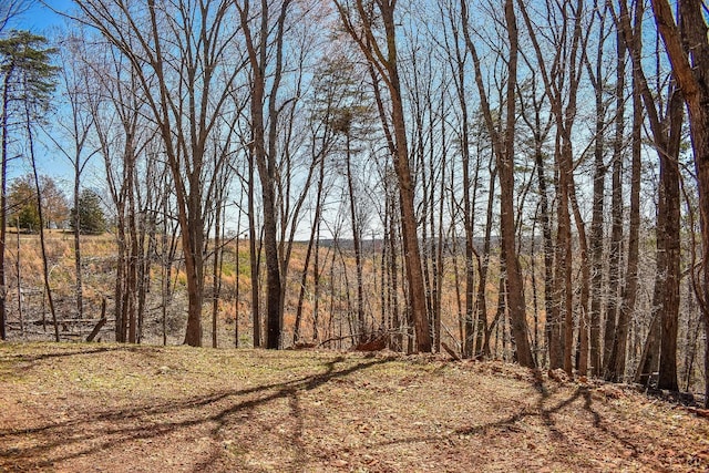 13273 Leesville Rd, Lynch Station, VA 24571 - view of nature featuring a forest view