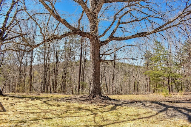 13273 Leesville Rd, Lynch Station, VA 24571 - view of local wilderness featuring a wooded view