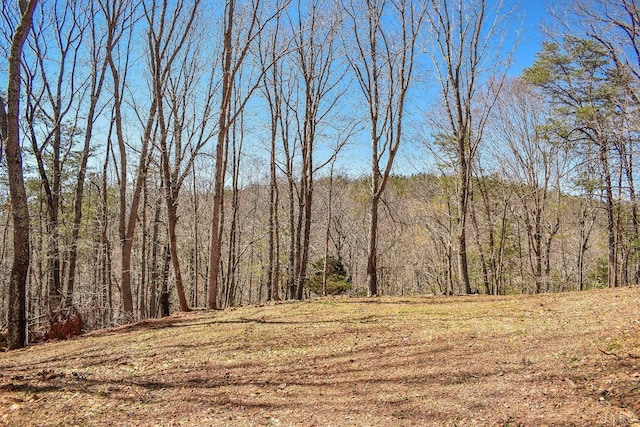 13273 Leesville Rd, Lynch Station, VA 24571 - view of landscape featuring a forest view
