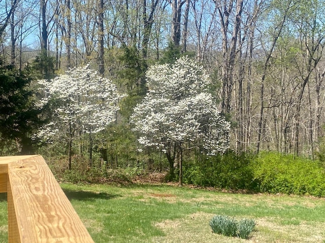 143 Lake Dr, Amherst, VA 24521 - view of yard featuring a wooded view