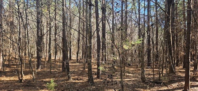 0 Tn Snow Rd, Nathalie, VA 24577 - photo 2