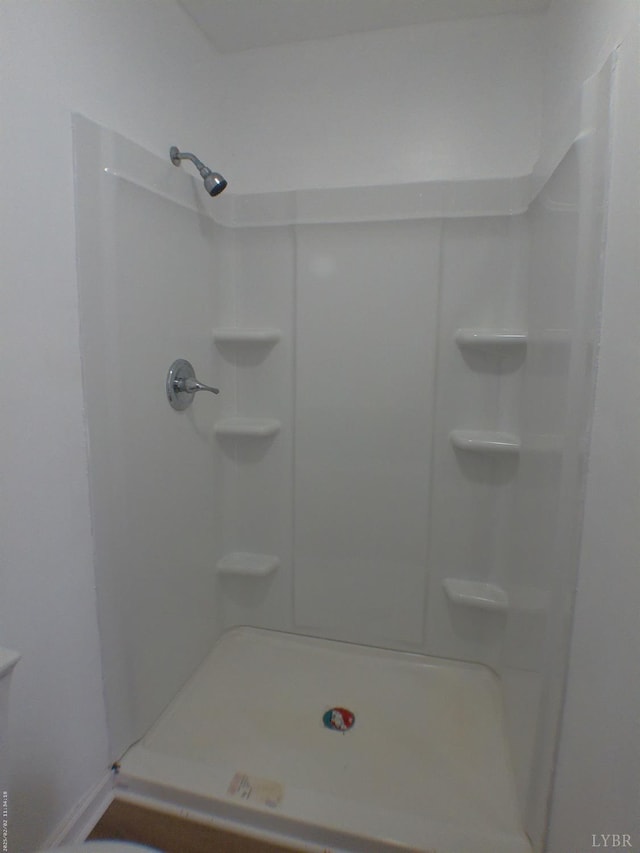 192 Main St, Madison Heights, VA 24572 - bathroom with a shower