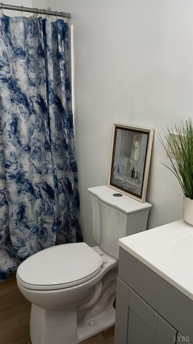 192 Main St, Madison Heights, VA 24572 - full bathroom featuring wood finished floors, toilet, vanity, and a shower with shower curtain