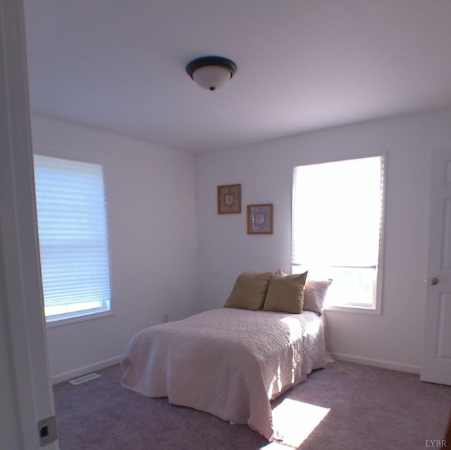 192 Main St, Madison Heights, VA 24572 - bedroom featuring carpet floors and baseboards